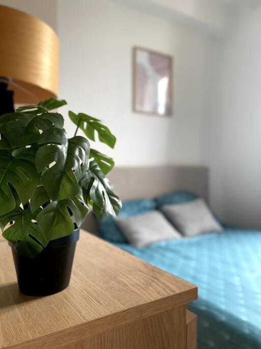 Appartement 2 Pieces A Quelques Minutes De Paris Le Pre-Saint-Gervais ภายนอก รูปภาพ